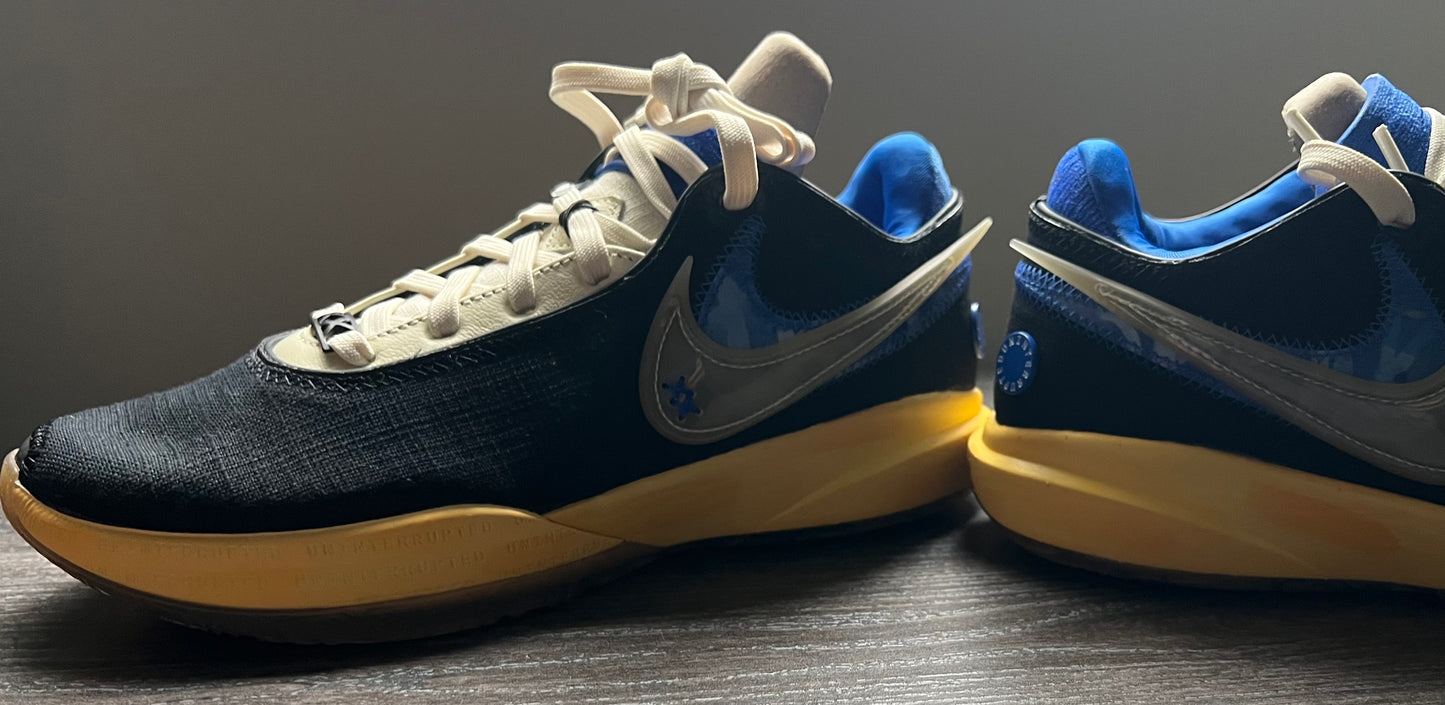 Lebron XX UN Speak your Truth size 7.5